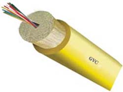 ���ڵ�ģ����