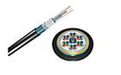 �������׹ܲ��ʽ��ǿ��װ��ģ����