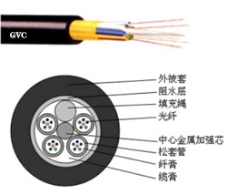 ���������ݰ����ʽ��ģ����