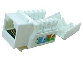 ģ