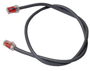 �����������������